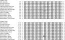 F<sc>ig</sc>. 3.—