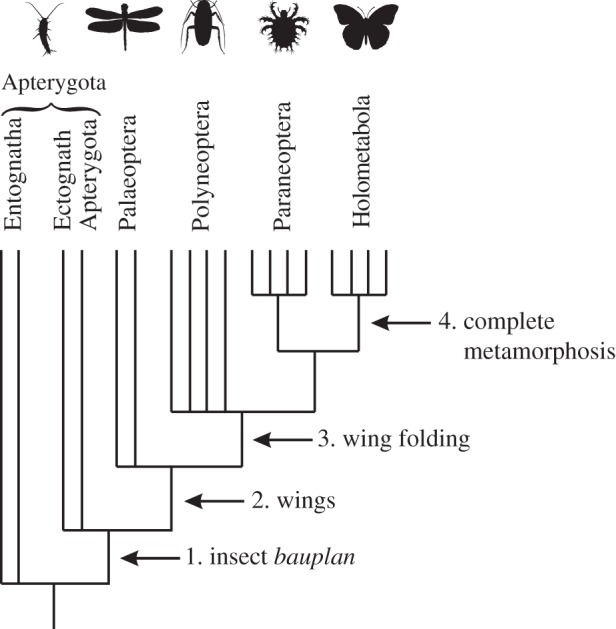 Figure 1