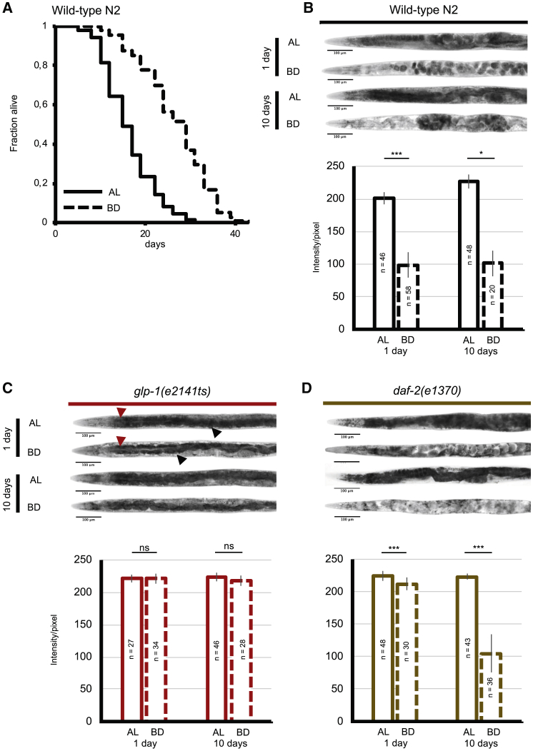 Figure 1