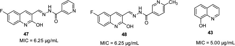 Fig. 10