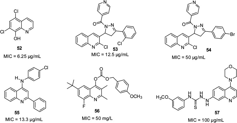 Fig. 12