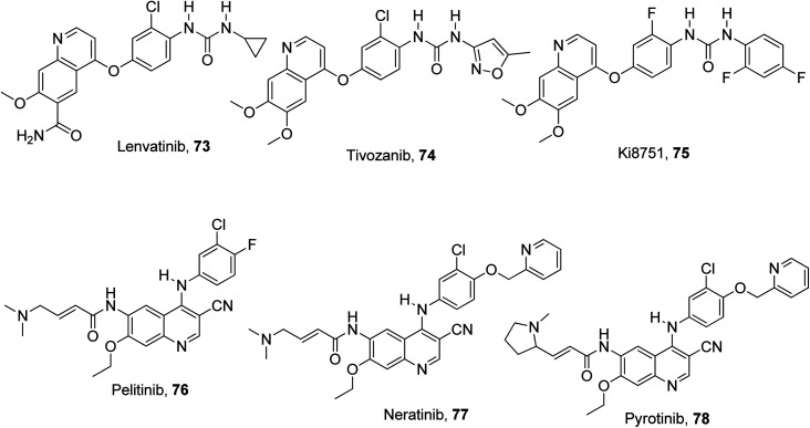 Fig. 19