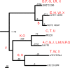 F<sc>IG</sc>. 7.—