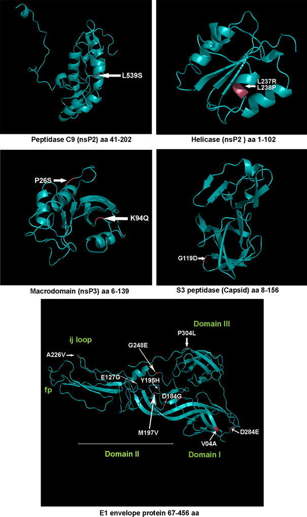 Fig. 4