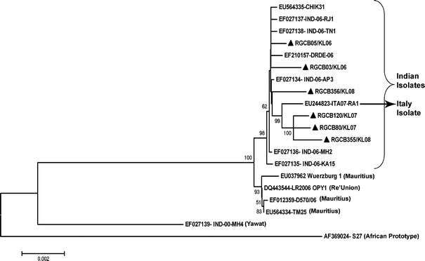 Fig. 3