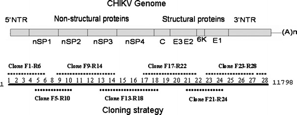 Fig. 2