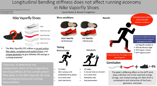 Image, graphical abstract