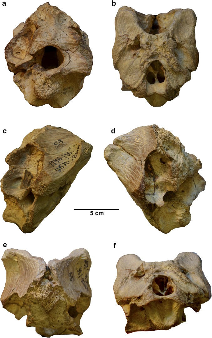 Fig. S1.