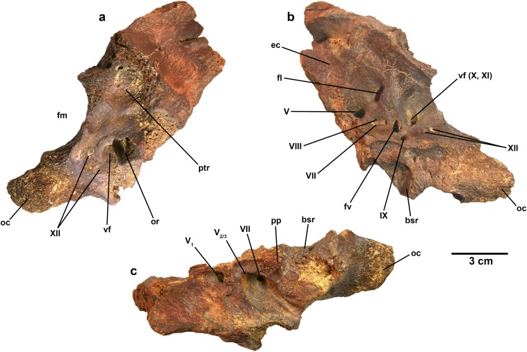 Fig. S4.