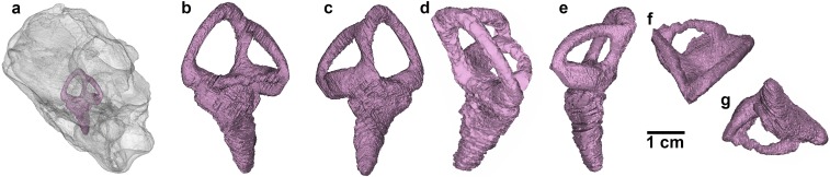 Fig. S3.