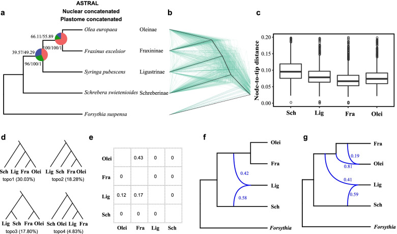 Fig. 8