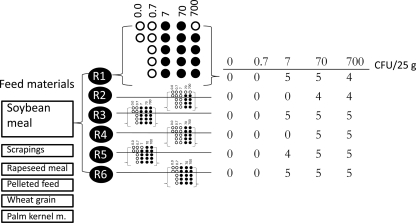 FIG. 1.