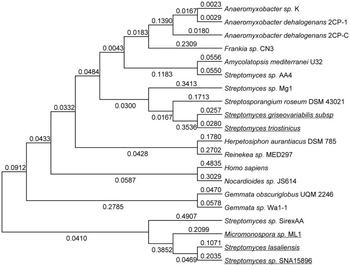 Figure 6