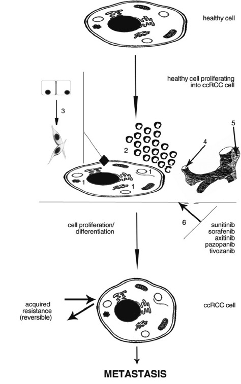 Fig. (1)