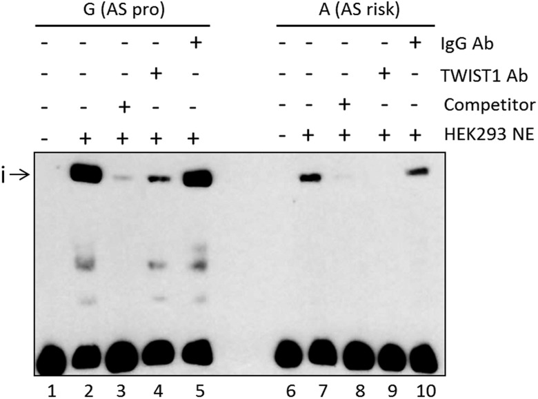 Figure 3