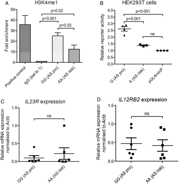 Figure 4