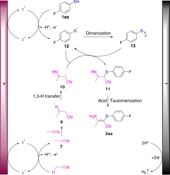 Fig. 8