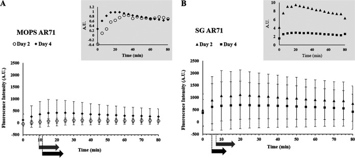 FIG 1