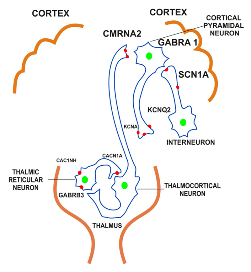 Fig. 2