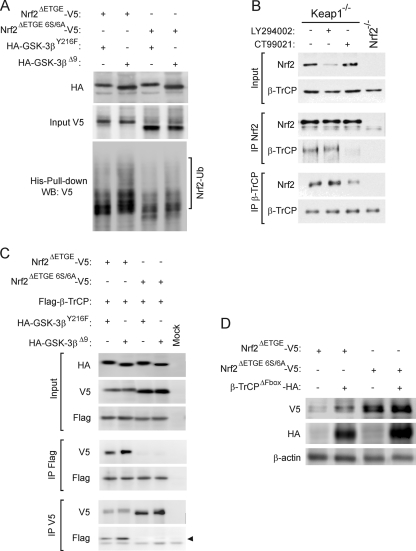 FIG. 8.