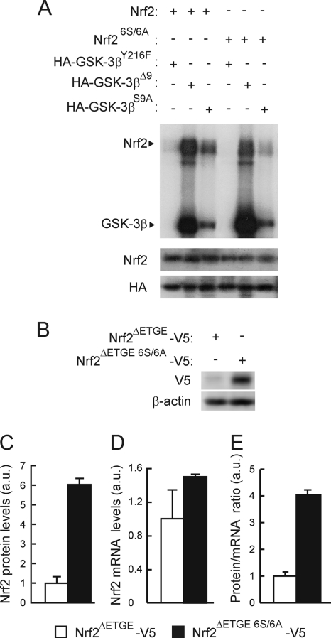 FIG. 5.