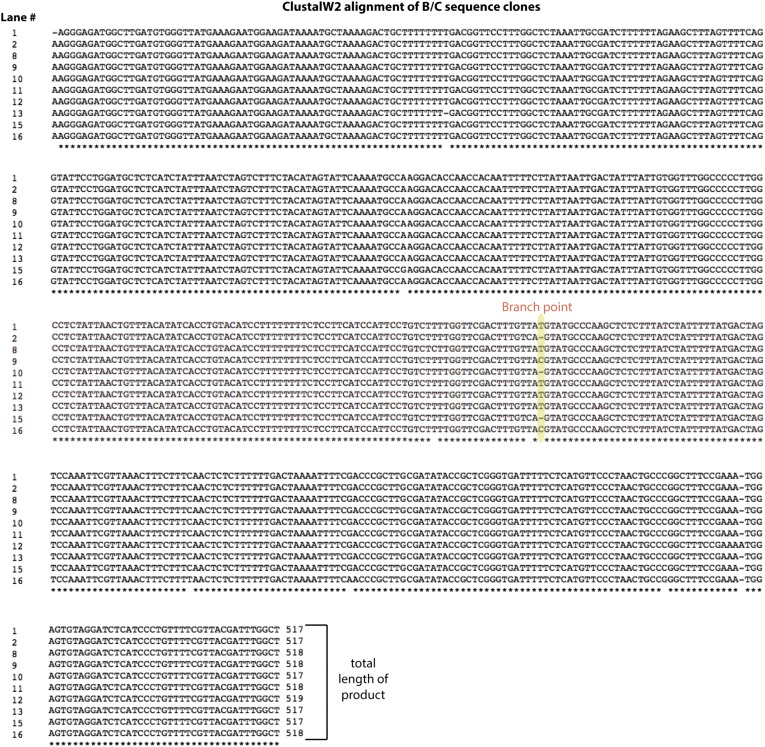 Figure 2—figure supplement 3.