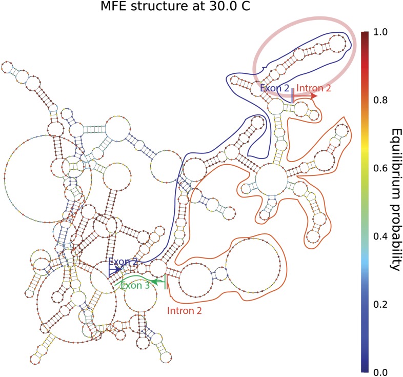 Figure 1—figure supplement 2.