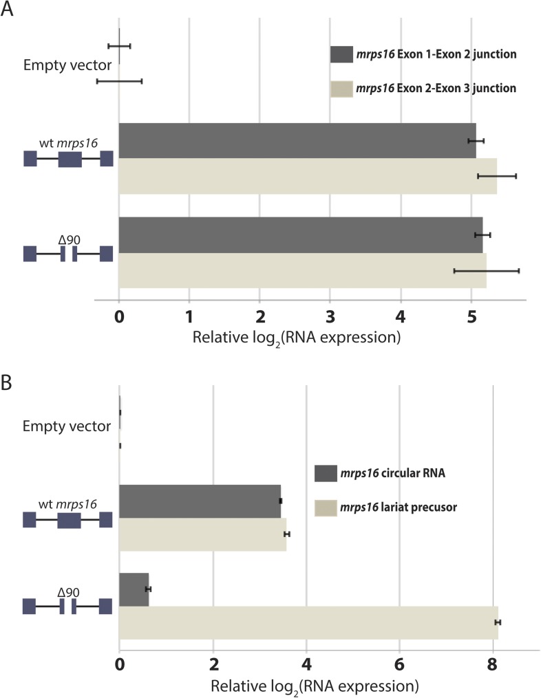 Figure 5—figure supplement 3.