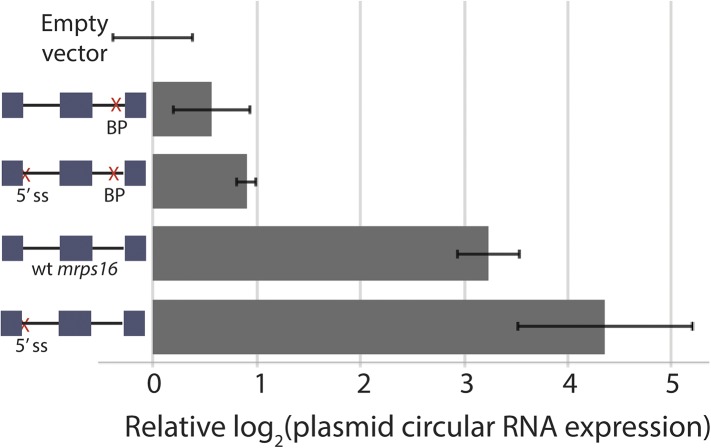 Figure 3—figure supplement 2.