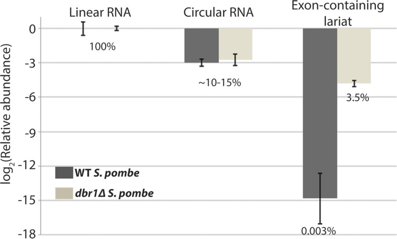 Figure 2—figure supplement 1.