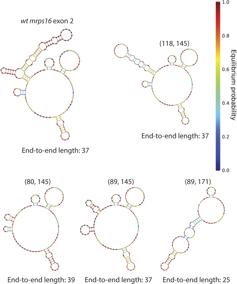 Figure 5—figure supplement 6.