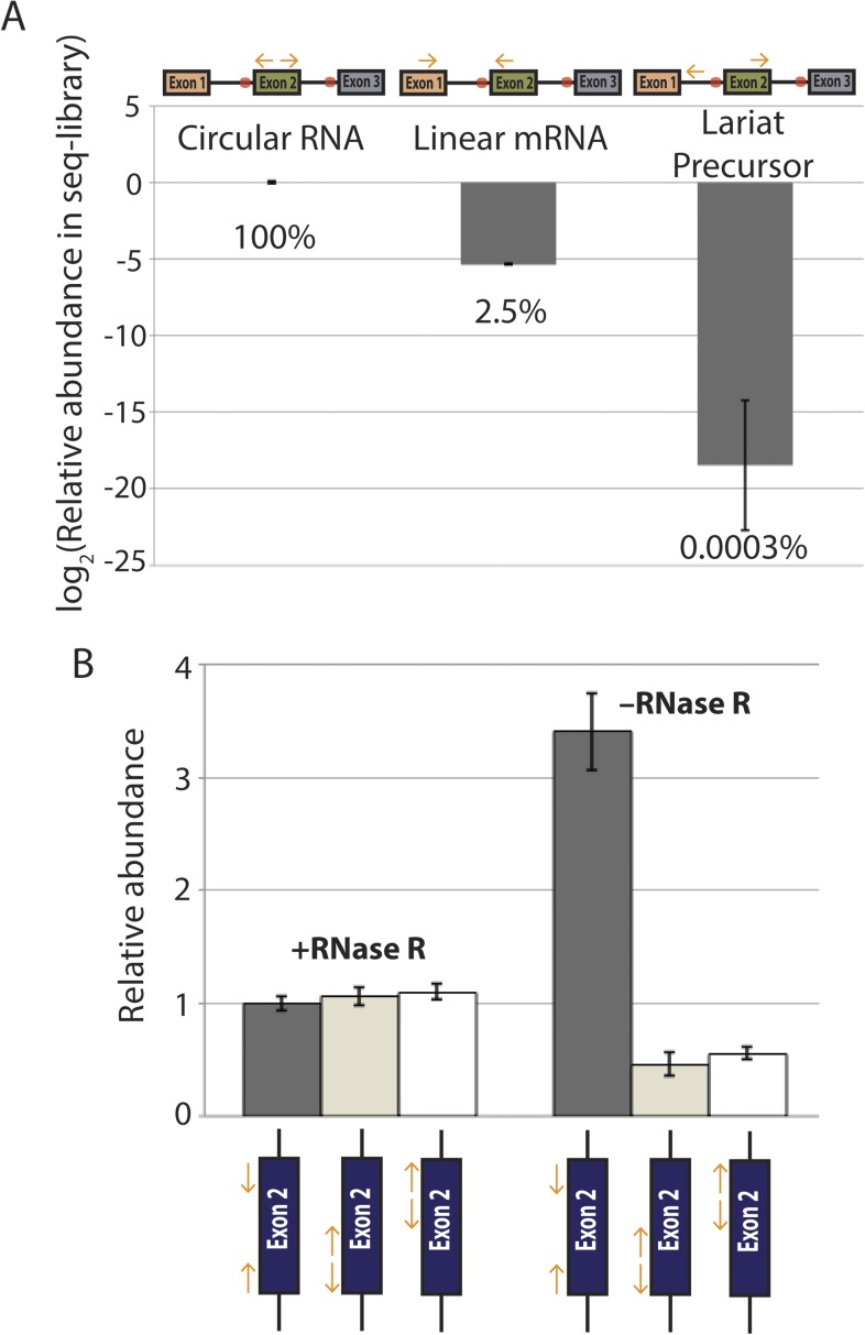 Figure 5—figure supplement 4.