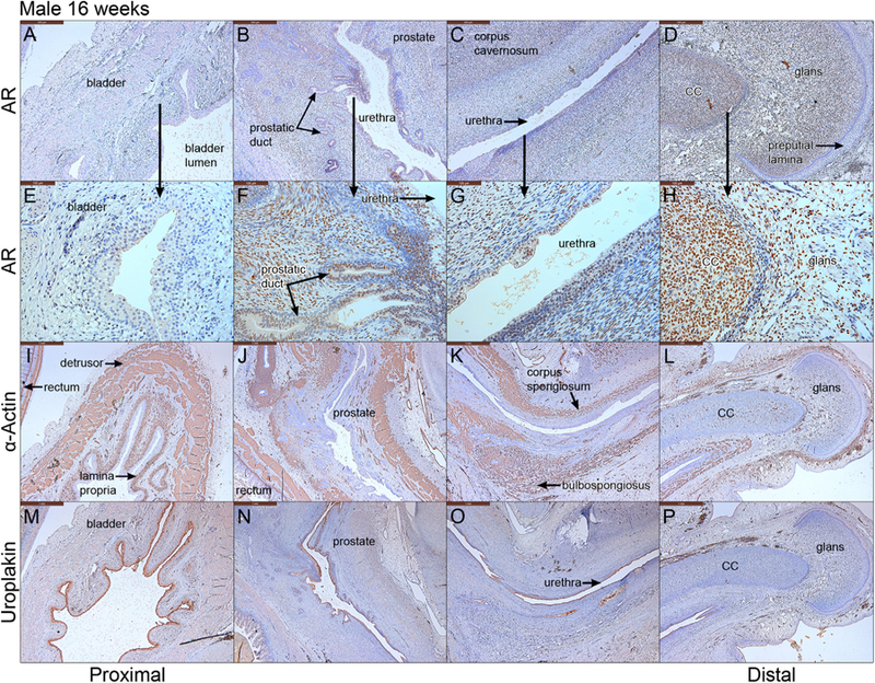 Fig. 10