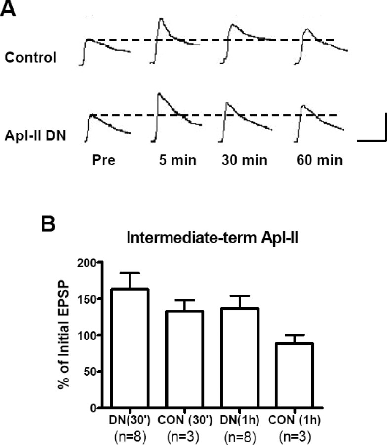 Figure 9.