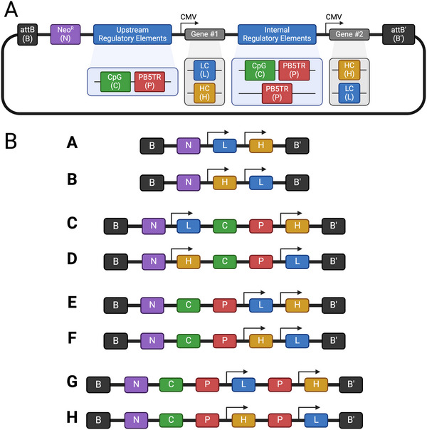 FIGURE 3