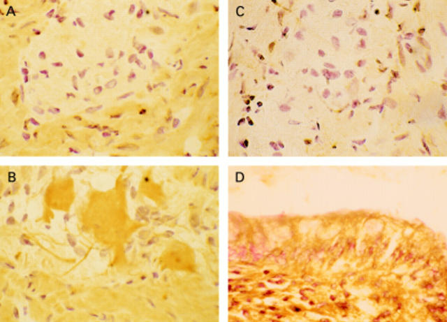 Figure 3  