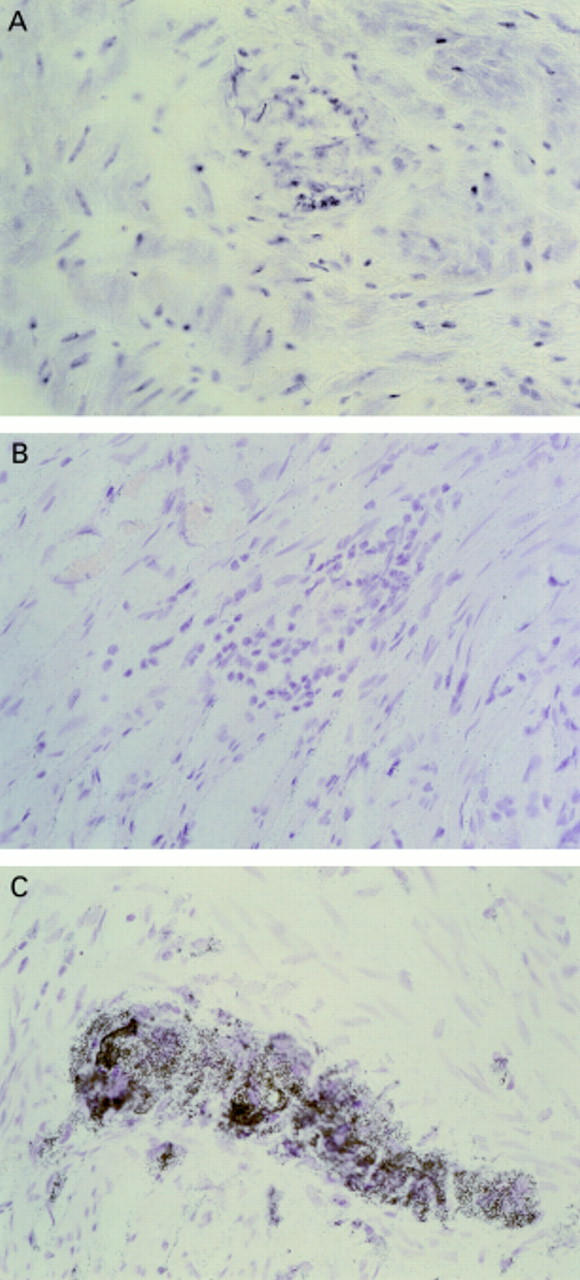 Figure 2  