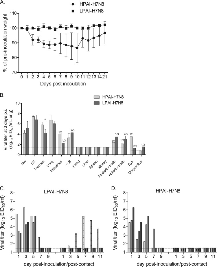 FIG 3