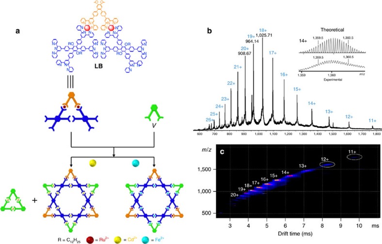 Figure 5