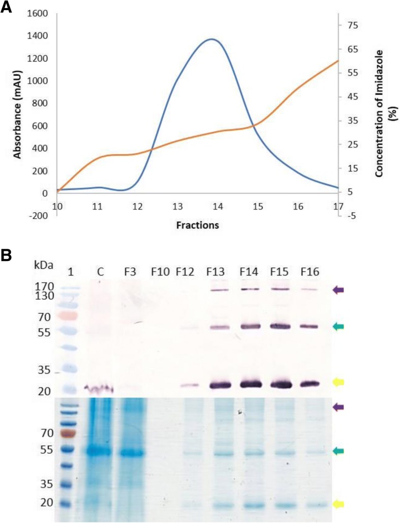 Fig. 3