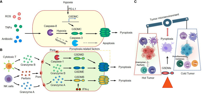 Figure 2