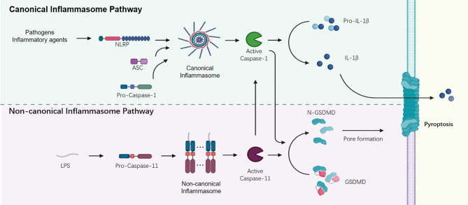 Figure 1