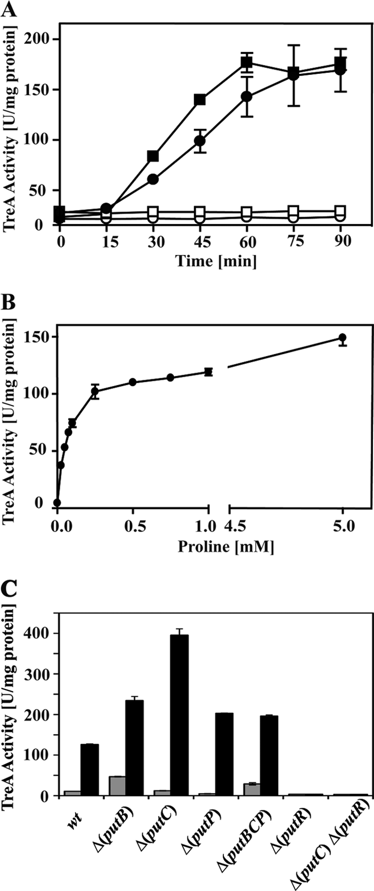 Fig 5