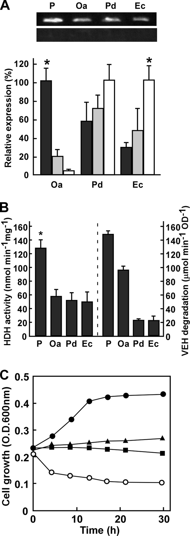 Fig 7