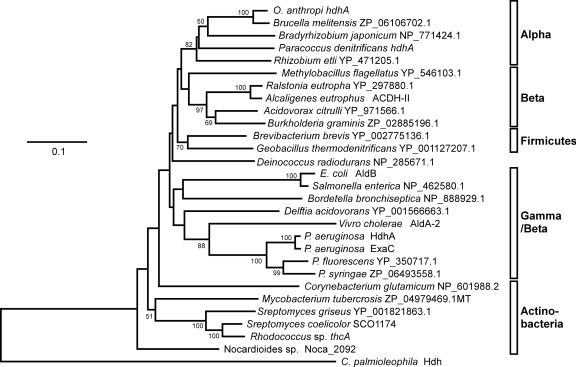 Fig 6