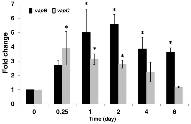 FIGURE 6