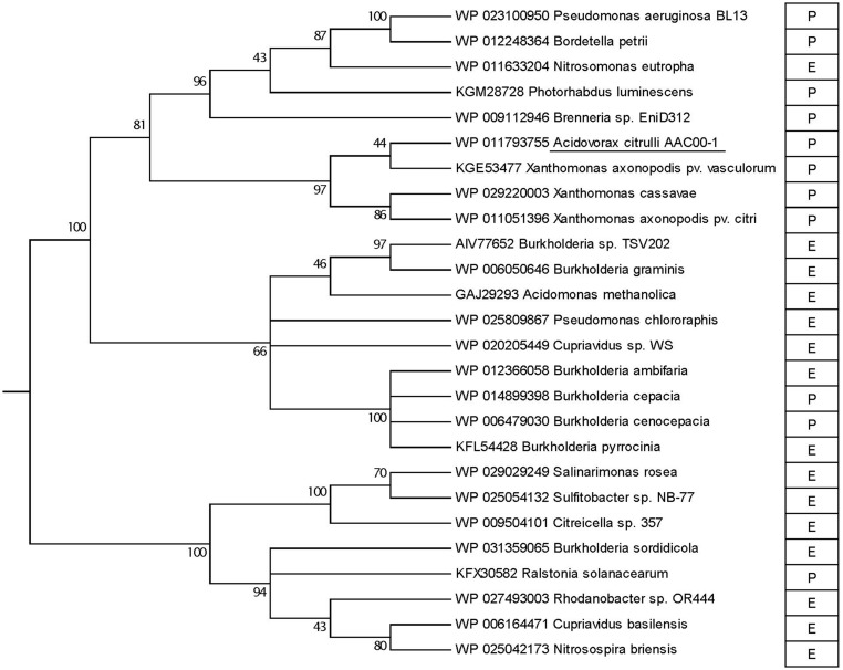 FIGURE 2