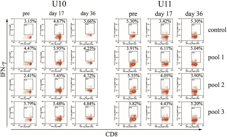 Figure 4