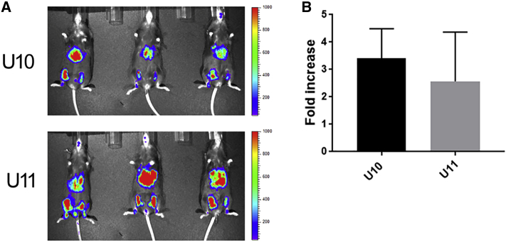 Figure 1