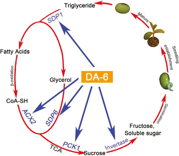 Fig. 9.